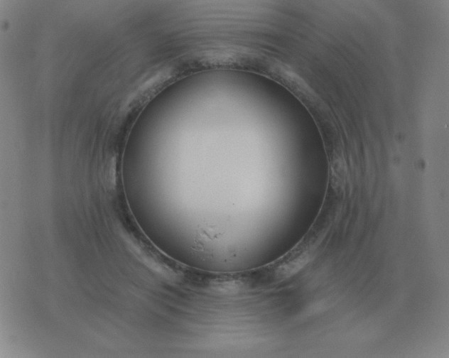 X0000076230454200610122119