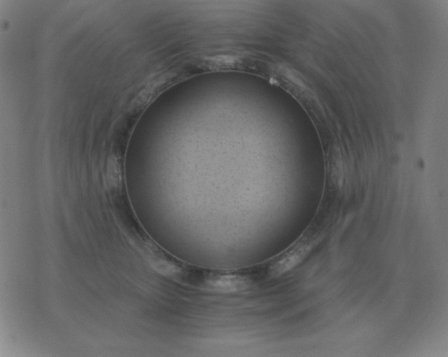X0000076230467200610122119