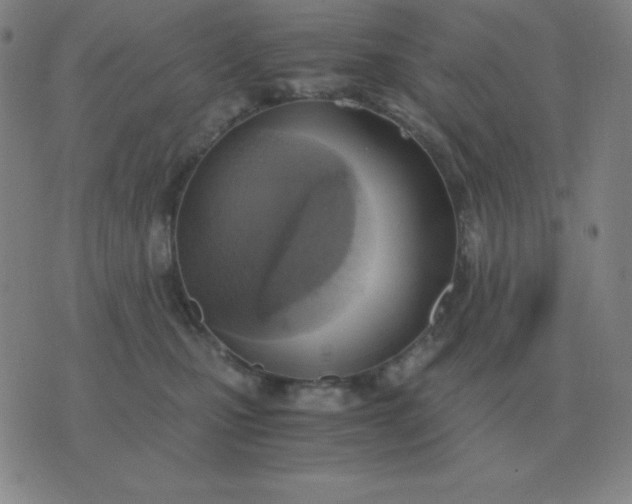 X0000076230471200610122119