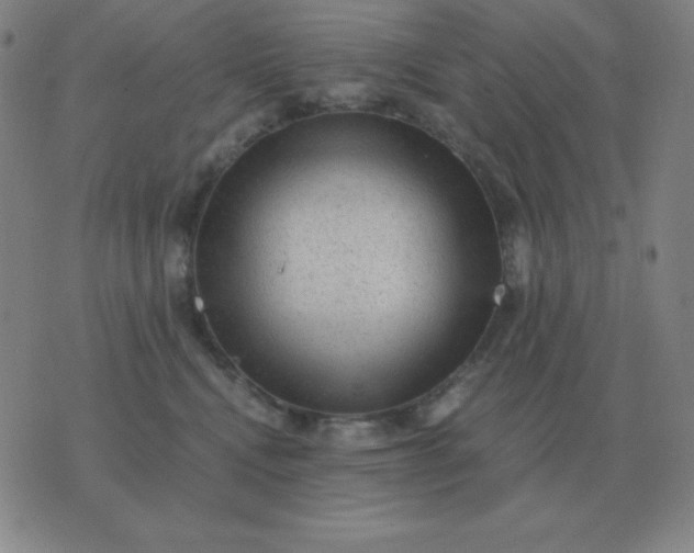 X0000076230472200610122119