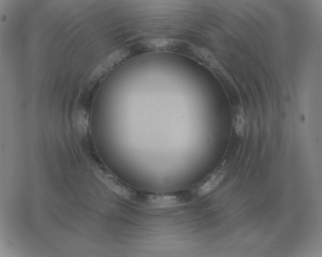 X0000076230476200610122119