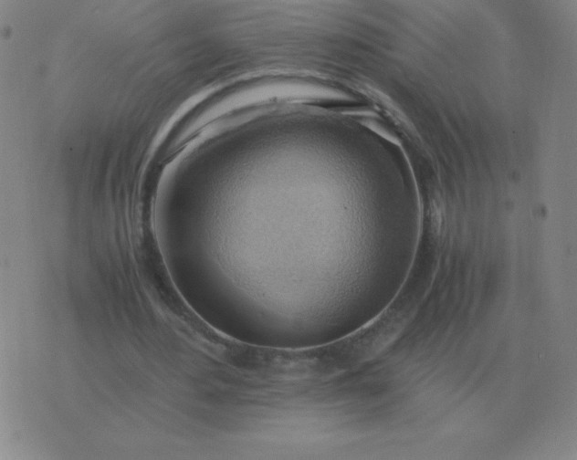 X0000076230484200610122118