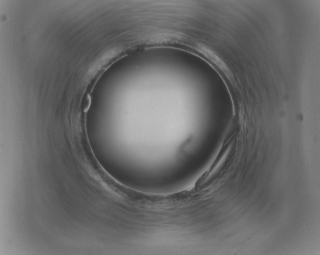 X0000076230485200610122118