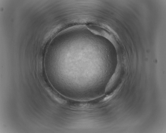 X0000076230493200610122118