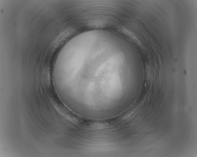 X0000076230494200610122118