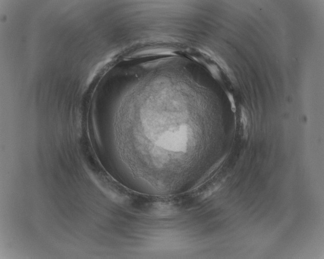 X0000076230496200610122118
