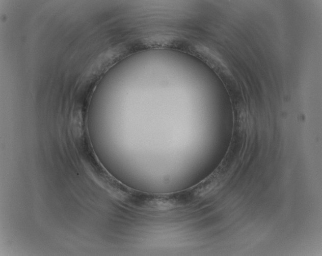 X0000076230498200610122118