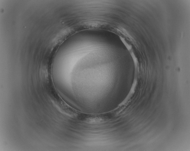 X0000076230500200610122118