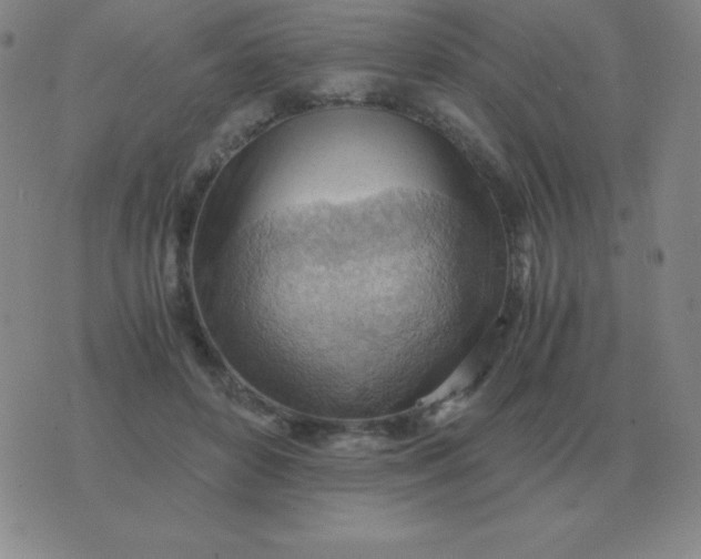 X0000076230504200610122118