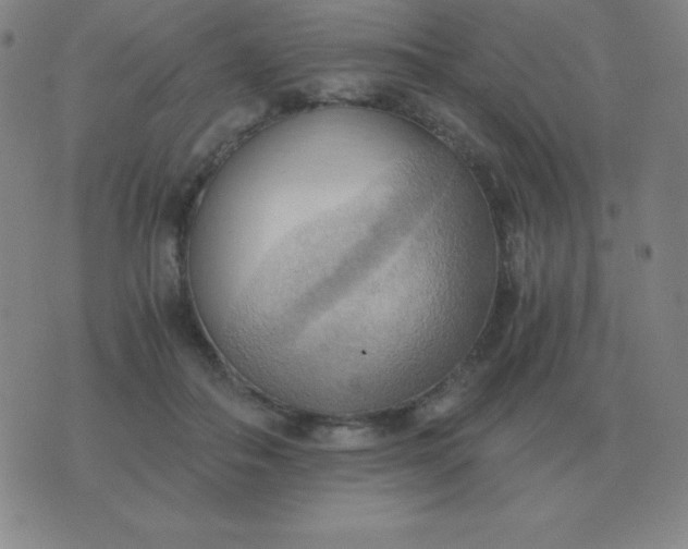 X0000076230506200610122118