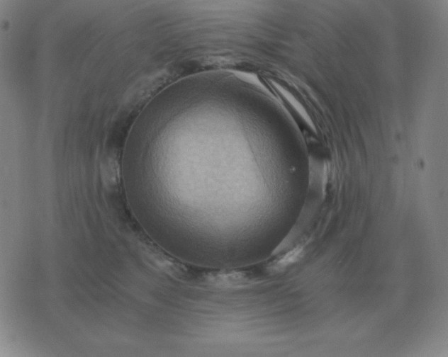 X0000076230517200610122118