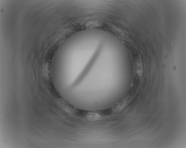 X0000076230519200610122118