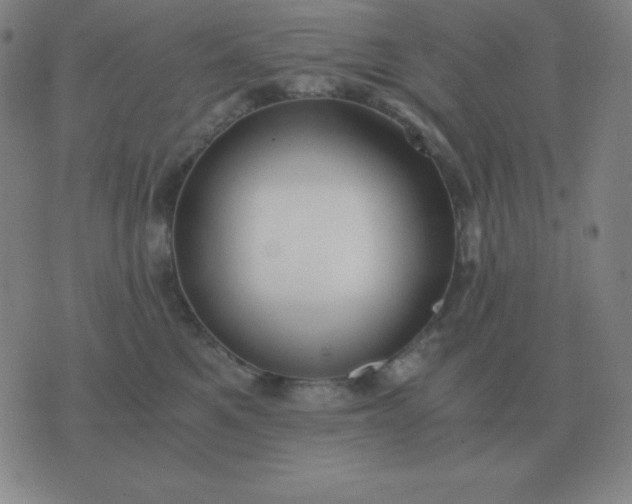 X0000076230521200610122118