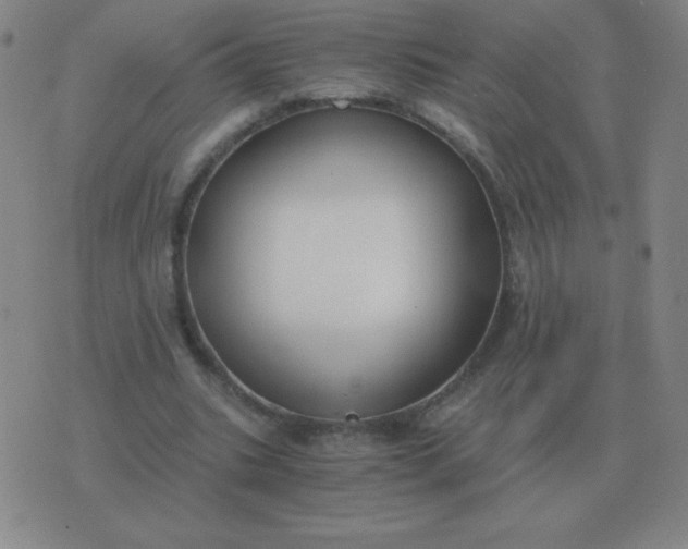 X0000076230535200610122117