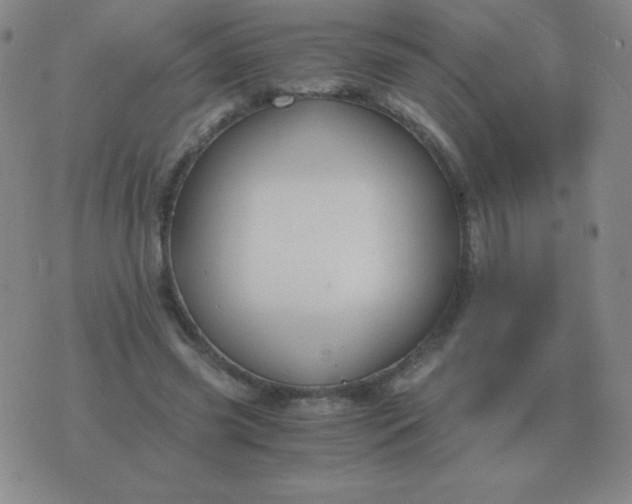 X0000076230541200610122117