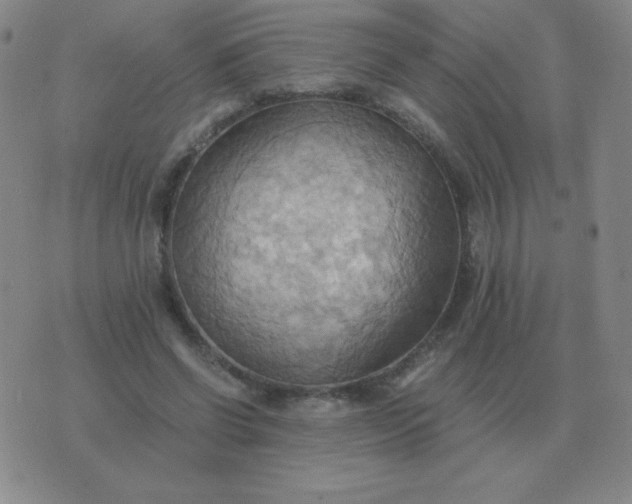 X0000076230542200610122117