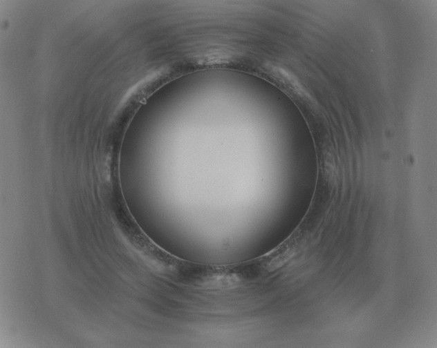 X0000076230543200610122117