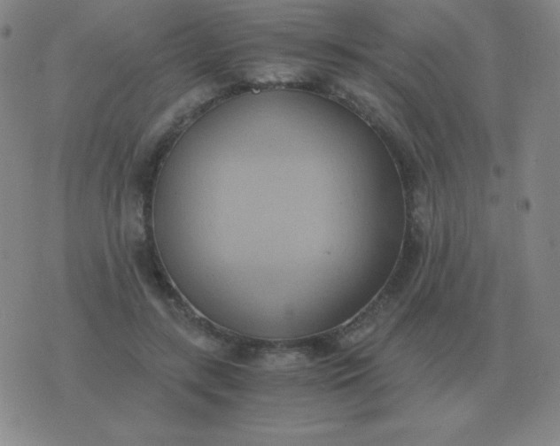 X0000076230547200610122117