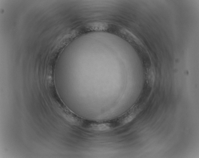 X0000076230553200610122117