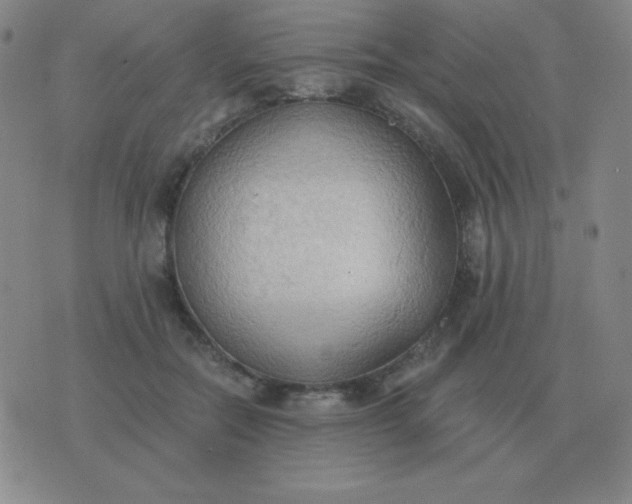 X0000076230554200610122117