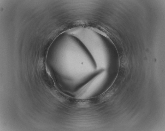 X0000076230560200610122117