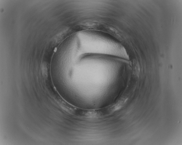 X0000076230562200610122118