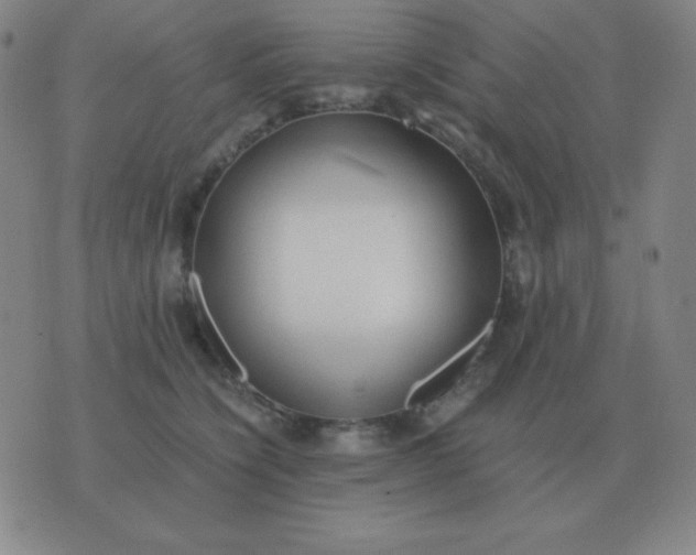 X0000076230564200610122118