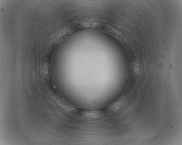 X0000076230567200610122118
