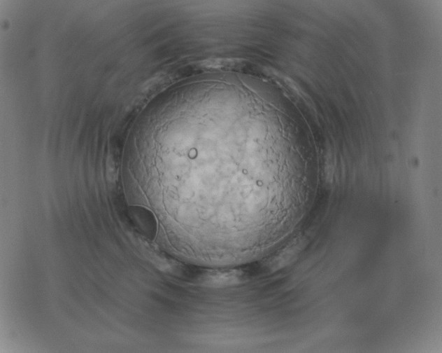 X0000076230569200610122118