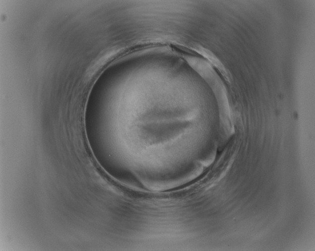 X0000076230577200610122117