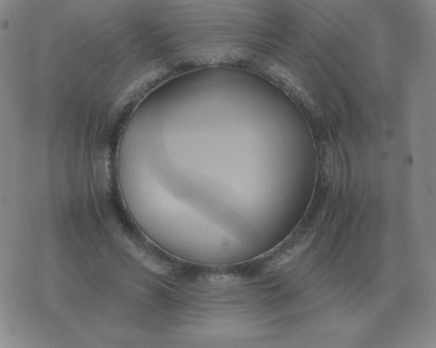X0000076230590200610122117