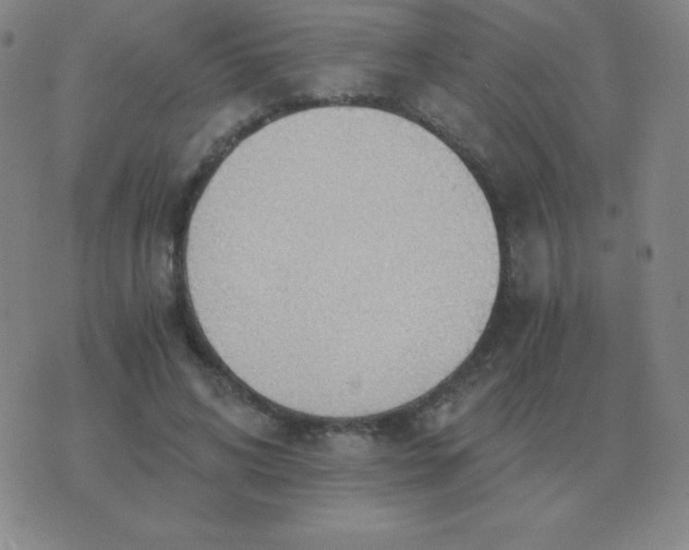 X0000076230592200610122117