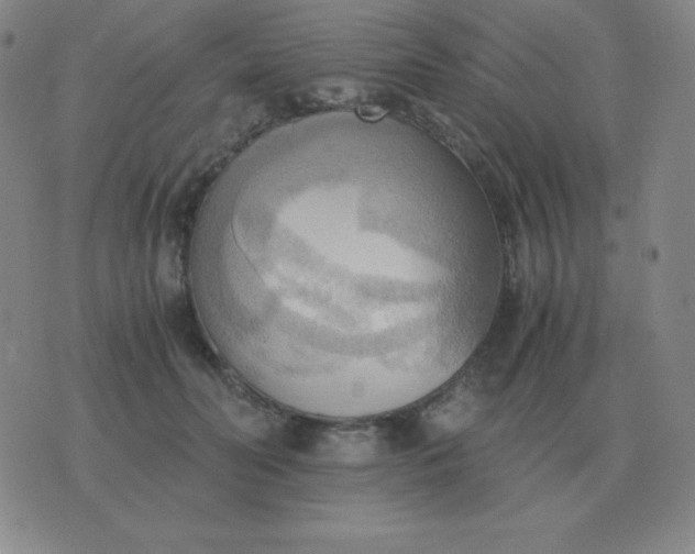 X0000076230606200610122116