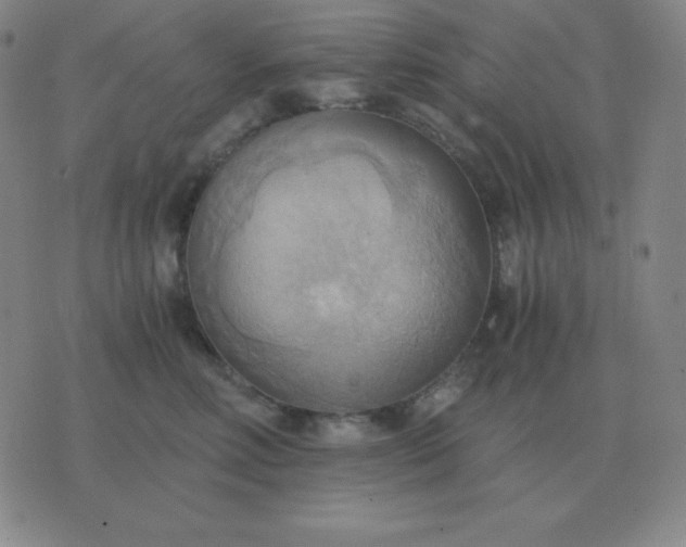 X0000076230618200610122116