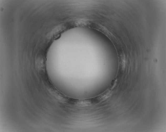 X0000076230619200610122116
