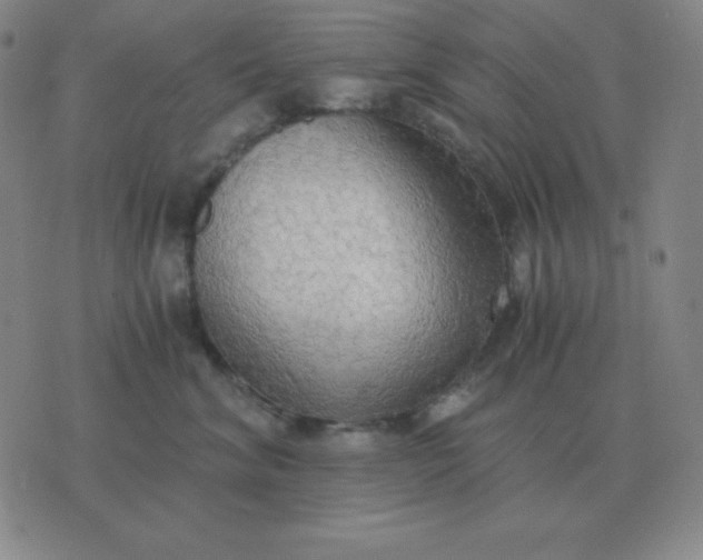 X0000076230620200610122116