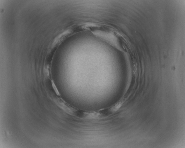 X0000076230621200610122116