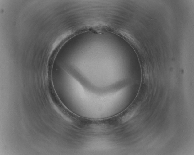 X0000076230630200610122115