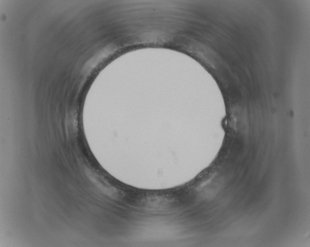 X0000076230632200610122116