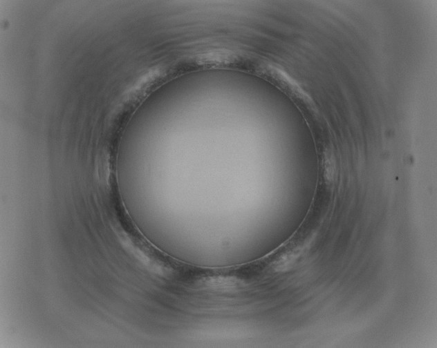 X0000076230637200610122116