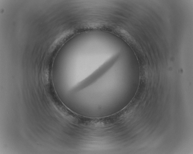 X0000076230640200610122116