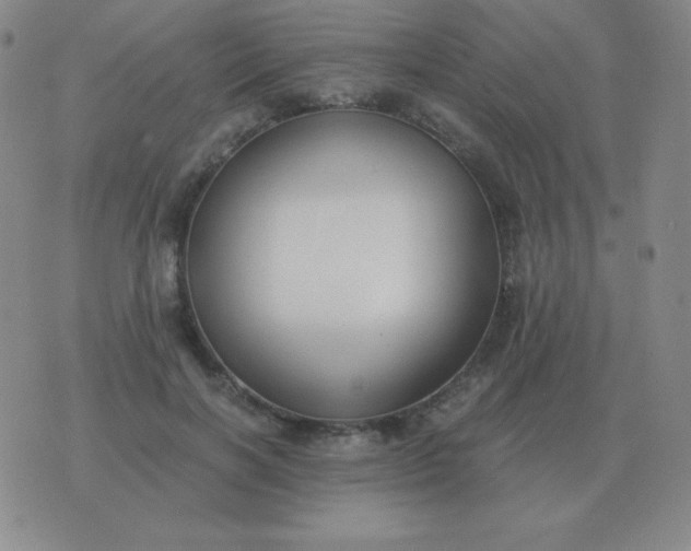 X0000076230646200610122116