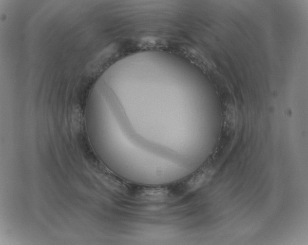 X0000076230659200610122116