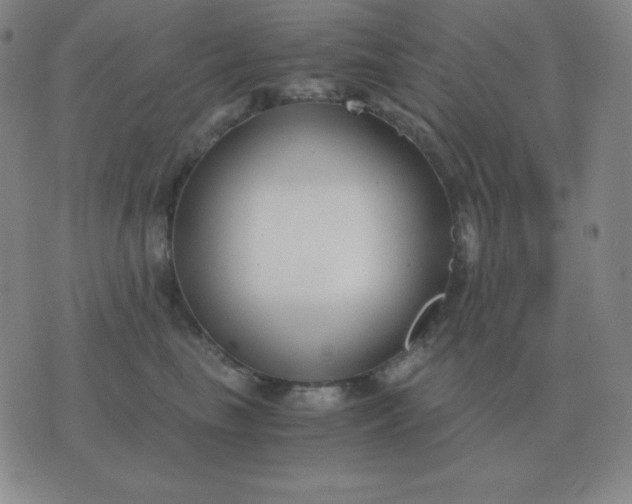 X0000076230665200610122116