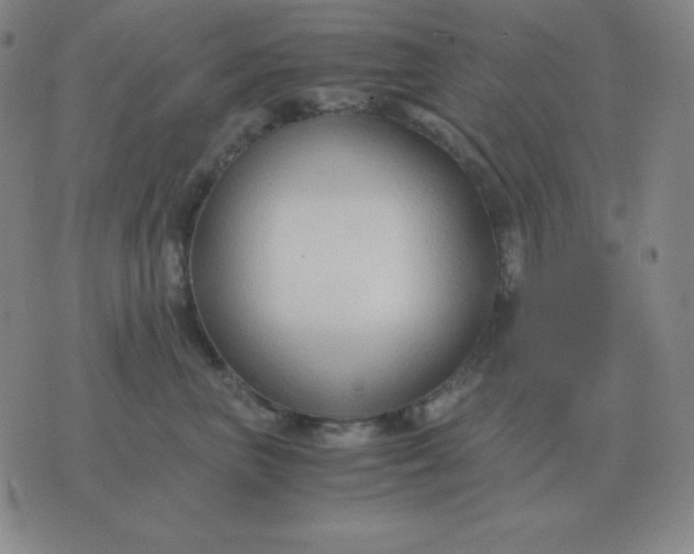 X0000076230667200610122116
