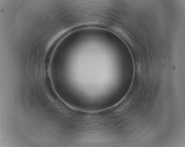 X0000076230676200610122115