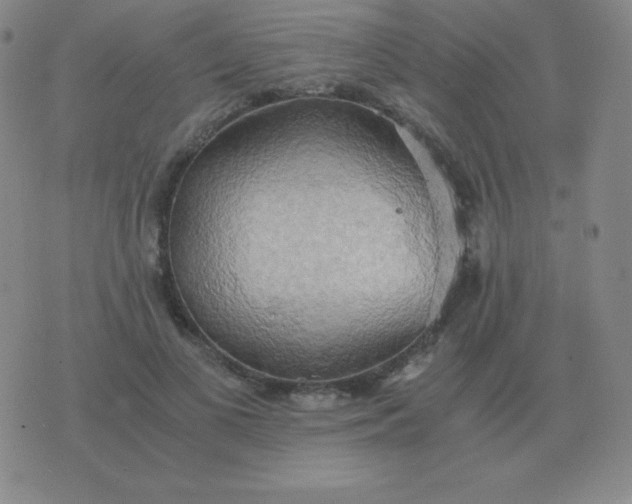 X0000076230693200610122115