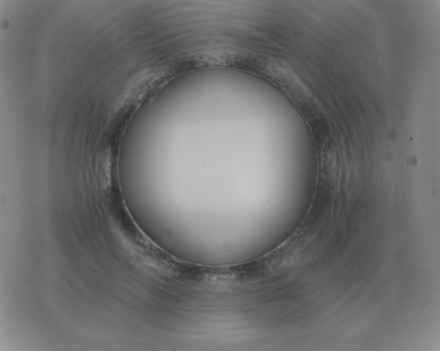 X0000076230694200610122115