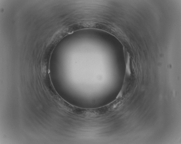 X0000076230697200610122115