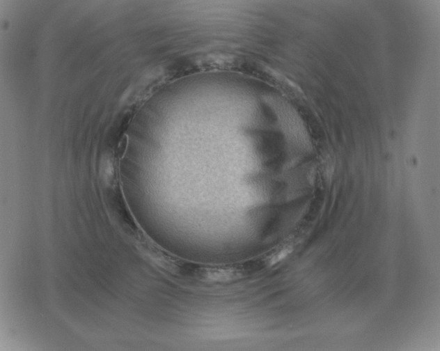 X0000076230709200610122115